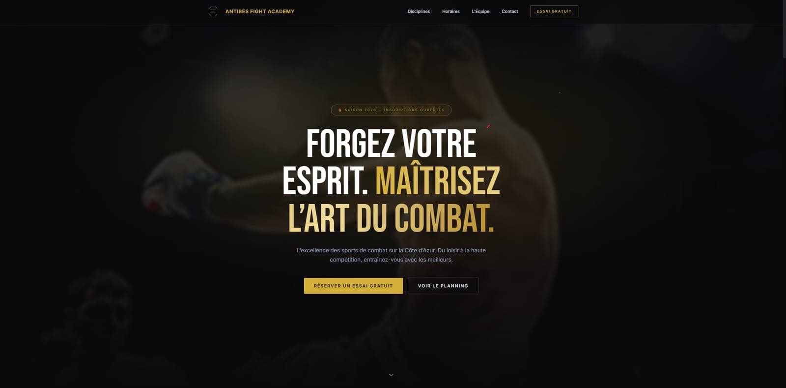 Aperçu du site Fight Club Academy