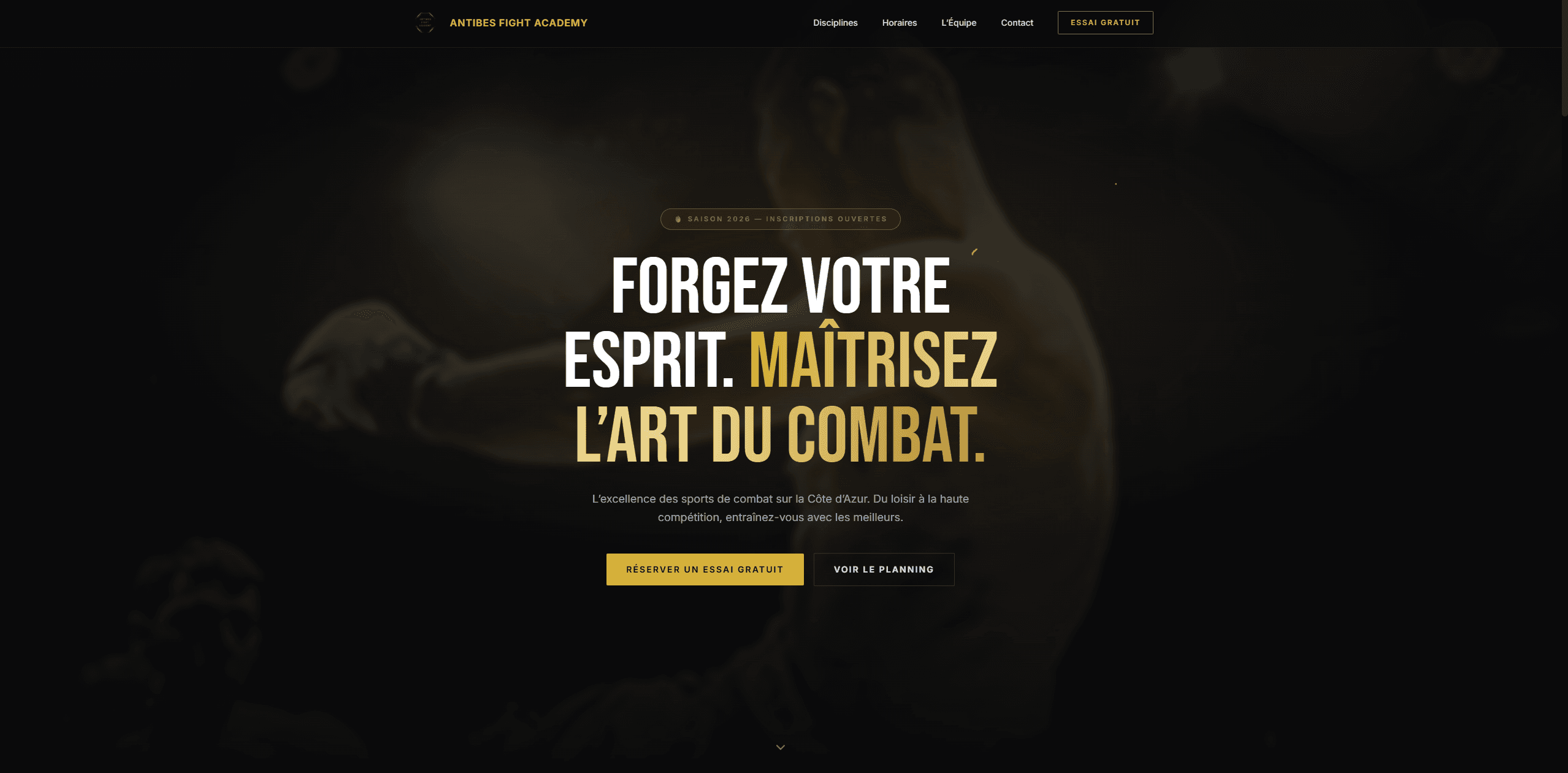 Aperçu du site Fight Club Academy